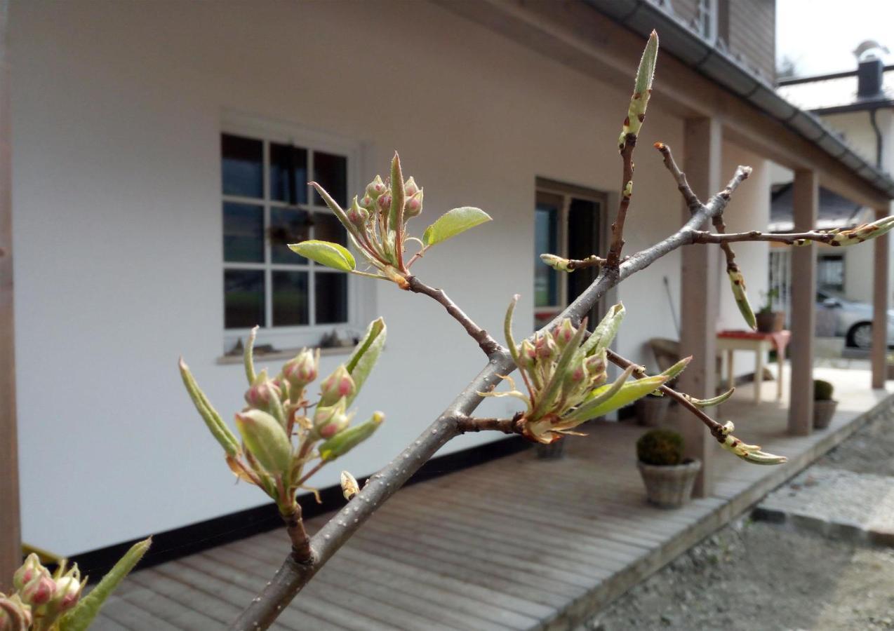Malvasia Apart Apartment ชตุมม์ ภายนอก รูปภาพ
